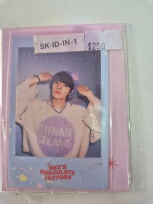 (Stock) STRAY KIDS:  ID Photo Set+ Polaroid Preventa (Random)